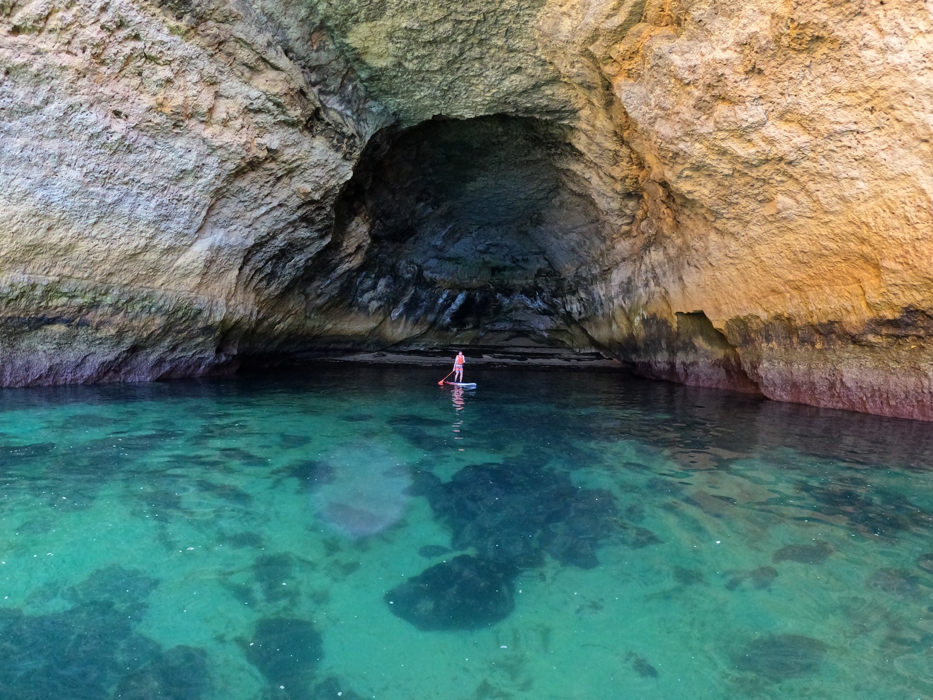 Stand Up Paddle tour along the cliffs of Albufeira, Algarve
